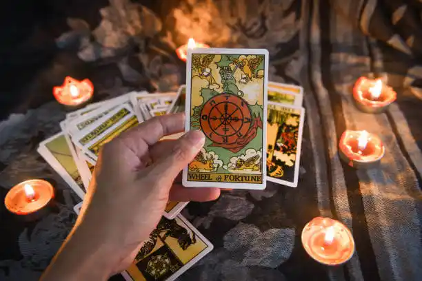 tarot cards Whitakers